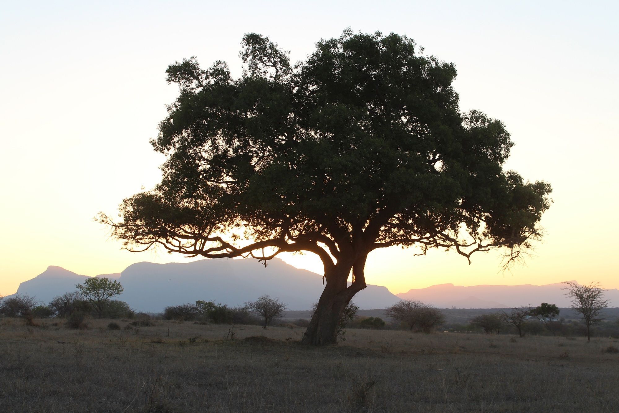 Thornhill Safari Lodge Hoedspruit Buitenkant foto