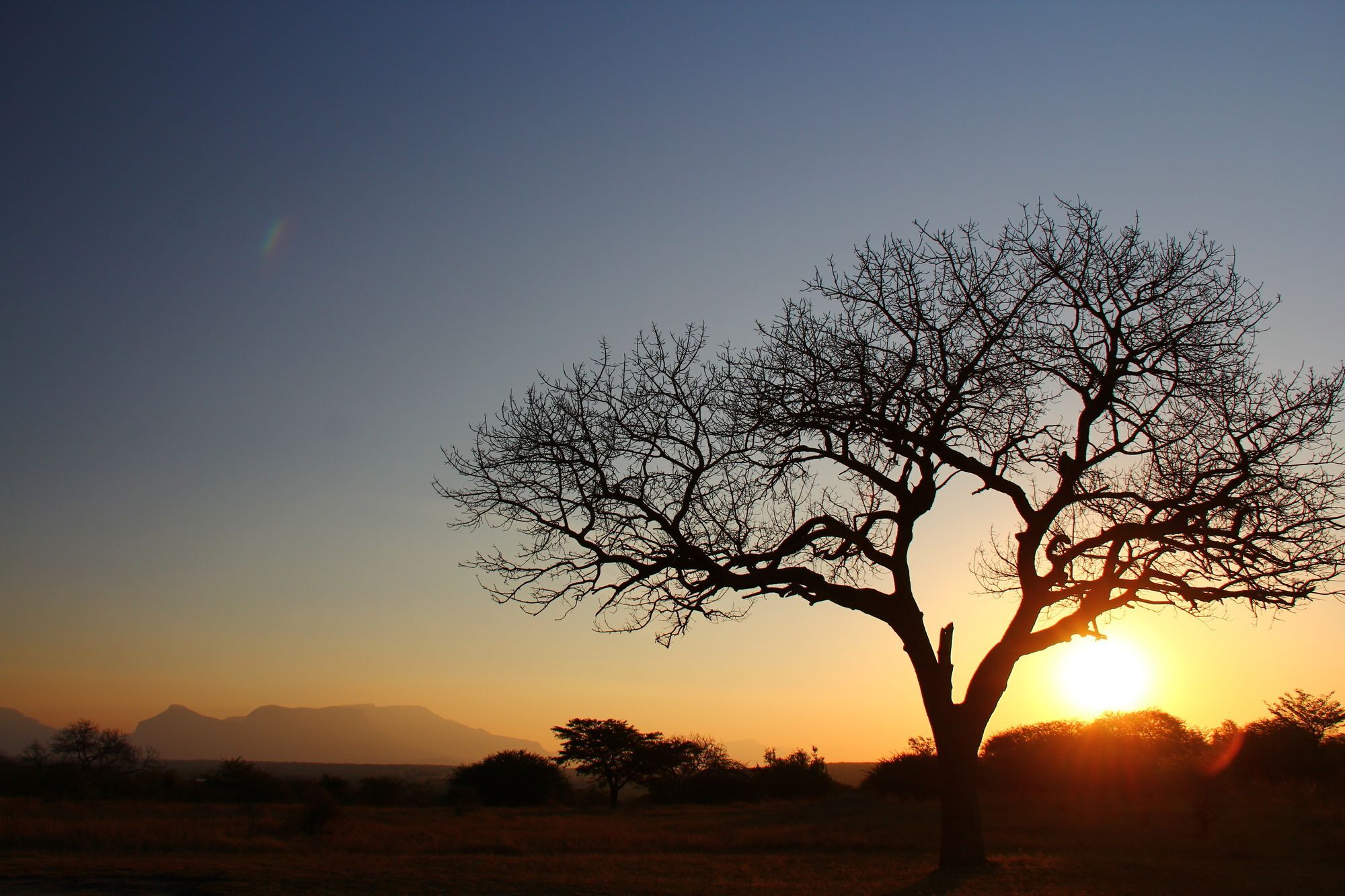 Thornhill Safari Lodge Hoedspruit Buitenkant foto