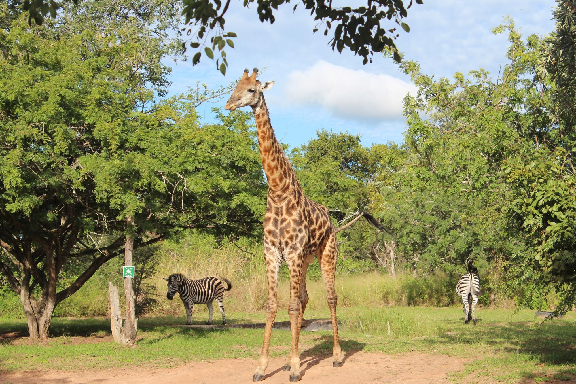 Thornhill Safari Lodge Hoedspruit Buitenkant foto