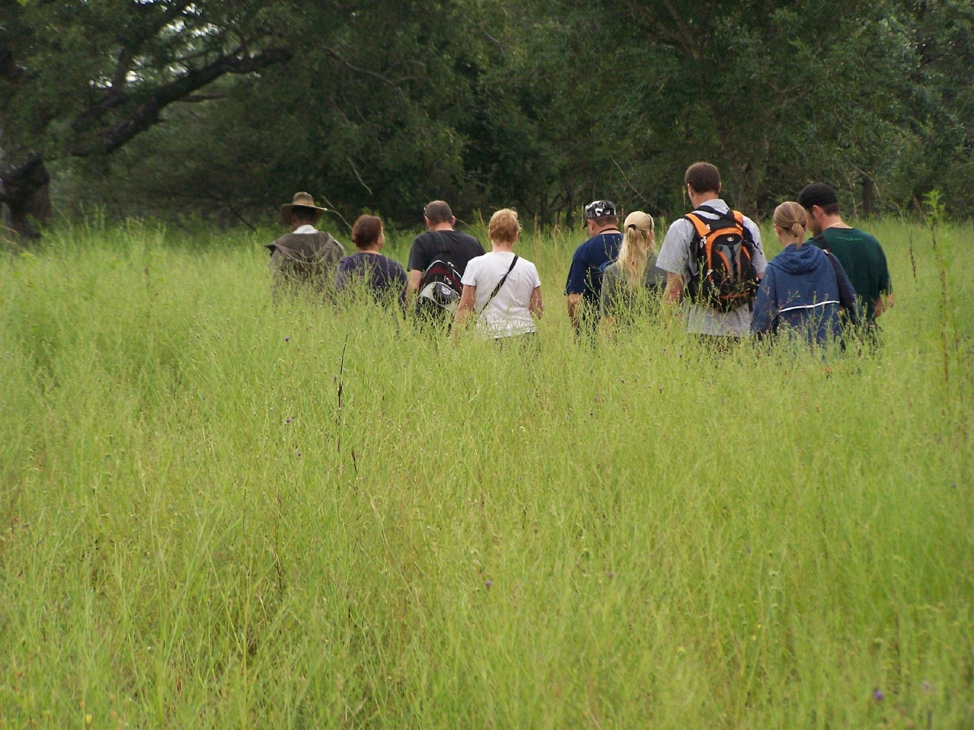 Thornhill Safari Lodge Hoedspruit Buitenkant foto